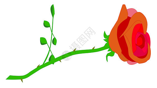玫瑰荆棘植物插图花瓣绘画艺术品艺术树叶背景图片
