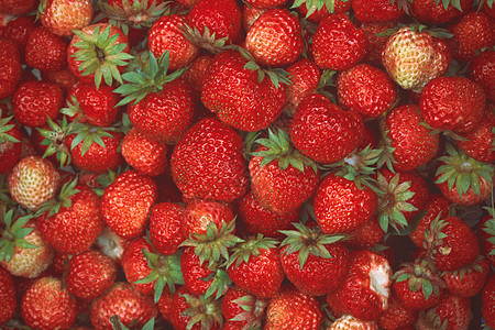 许多草莓从顶部射出静物乡村水果照片植物养分食品叶子奶油饮料图片