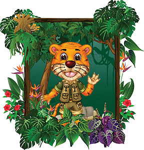 常春藤植物卡通热带森林中的棕虎图片