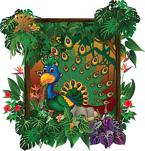 热带森林中美丽的孔雀鸟与常春藤植物和方木框架卡通高清图片