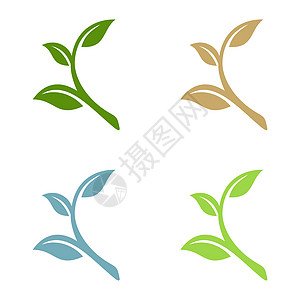 绿叶生态标志模板插图设计 矢量 EPS 10花园植物群花店网络生长植物商业园丁技术叶子图片