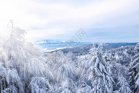 严寒的冬季山地景观冒险旅行探索全景冻结木头云杉森林季节戏剧性图片