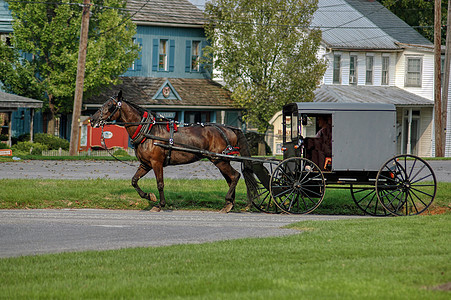 阿米西马与布戈特罗丁Amish Horse和在夏日运至乡村商店越野车社区大车车皮国家宗教风景农场小路农业图片