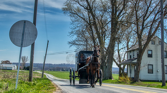 阿米西马与布戈特罗丁Amish Horse和在夏日运至乡村商店小路农业农村越野车运输旅行宗教动物场地国家图片