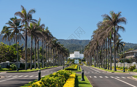 沿着通往瓦胡后天圣徒教堂莱伊夏威夷寺庙的公路向下观望背景图片