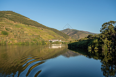 葡萄牙杜罗河岸上古金塔或葡萄园的老区旅行藤蔓农业场地栽培港口国家农村爬坡种植园图片