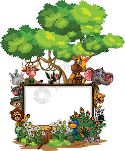 野生动物与方形空白标志板与树木和白色常春藤花卡通图片