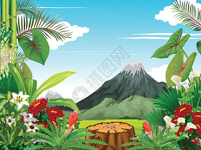 景观森林景观与常春藤植物花卉和山脉卡通图片