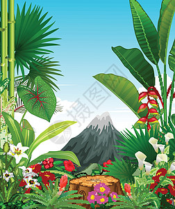 森林景观与热带常春藤植物和花卉卡通图片