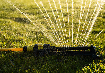 草坪喷水器在绿草上喷水 灌溉庭院草的现代设备 灌溉系统  在花园里浇水的技术 用洒水器给草坪浇水塑料水滴管道园林生长环境植物液体图片