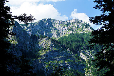 Bohinj湖附近的Vogel山的美景图片