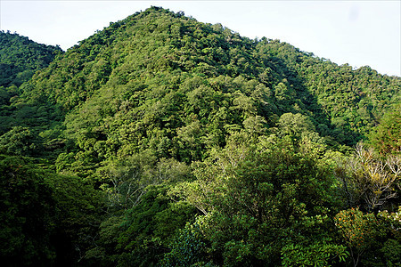 胡安·卡斯特罗·布兰科国家公园山丘图片