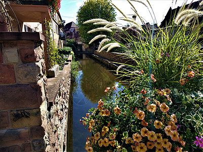 古老城镇Wissembourg的美丽运河图片