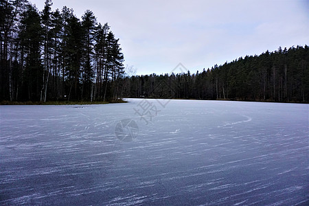 在努克西奥国家公园多云的一天 寒冷湖Haukkalampi图片