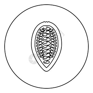 可可鲍勃豆可可果巧克力种子图标圆圈轮廓黑色矢量插图平面样式图像图片