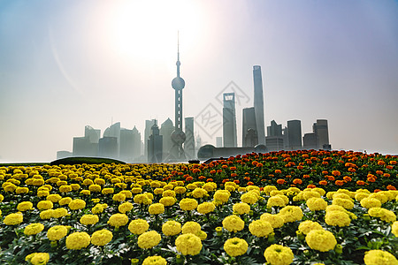 南京地标黄浦河边 上海市的清晨风景背景