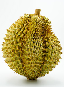 白色背景的新剪切的月亮Durian旅行营养热带情调生产榴莲地平线作品食物天堂图片