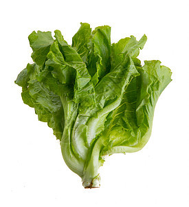 发生营养叶子绿色食物白色蔬菜美食沙拉图片