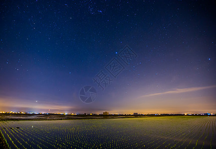 夜景稻田图片