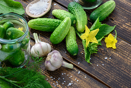 土制黄瓜蔬菜香料桌子乡村小吃花园装罐植物盐渍玻璃图片