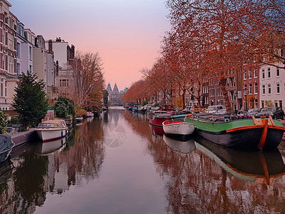 荷兰阿姆斯特丹市风景来自荷兰阿姆斯特丹运输建筑学植物群自行车阳光街道场景游客太阳辐射图片