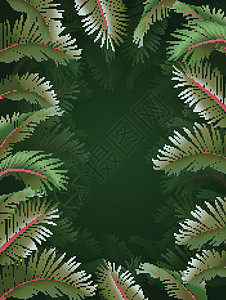 美丽的热带常春藤植物卡通套装为您的设计图片