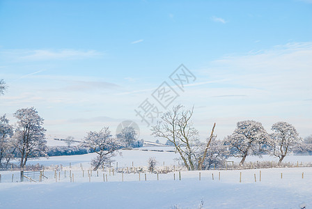 简单背景景观 有雪覆盖的田地和遥远的树木图片