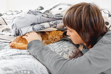 可爱的姜猫躲在床上 男人抚摸睡着的毛绒宠物图片