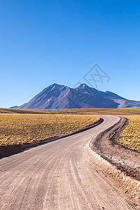 阿塔卡马沙漠 智利 安第斯 南美 美丽的景色和风景编队日落天空动物山谷旅游国家旅行沙漠岩石图片