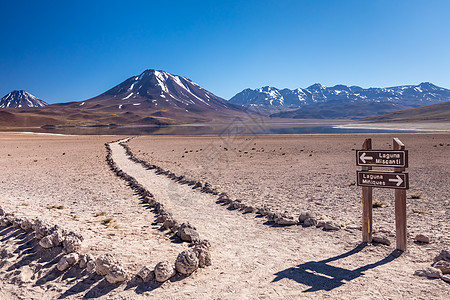 沙漠令人惊叹的景色 智利 南美旅游反射顶峰国家风景火山公园山脉旅行蓝色图片