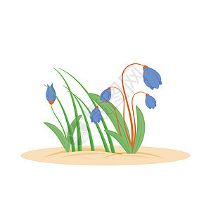 鲜花卡通矢量图 春天新鲜的草 花园里的 Bloomin 香草 从地面生长的绿色草坪 平面颜色对象 孤立在白色背景上的生长草图片