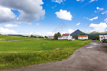 挪威Lofoten岛的草原 山地和村庄典型的扫描气候景观旅游乡村场地场景晴天绿色爬坡旅行农村农业图片