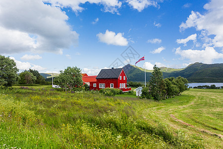 挪威Lofoten岛的草原 山地和村庄典型的扫描气候景观草地绿色旅行农场田园晴天场地场景旗帜乡村图片