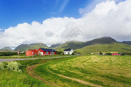 挪威Lofoten岛的草原 山地和村庄典型的扫描气候景观农业爬坡农村旅游场景旅行乡村房子农场晴天图片