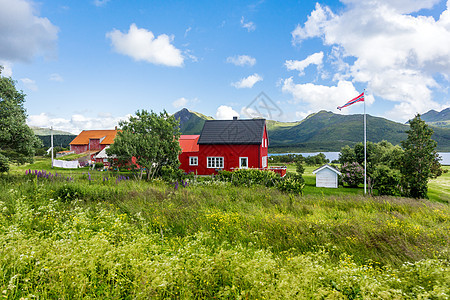 挪威Lofoten岛的草原 山地和村庄典型的扫描气候景观乡村草地房子旅行农村晴天田园场地绿色农场图片