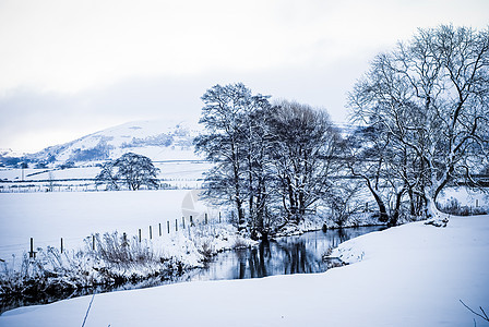 冬季雪雪景观 背景为树木和山丘的英国图片