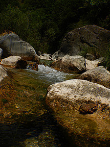 意大利利古里亚的溪冒险岩石石头水坑树木峡谷激流蓝色瀑布溪流图片