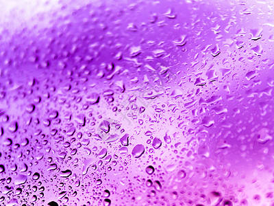 玻璃上的雨滴 紫罗兰水滴在透明表面的轮廓湿气瓢泼大雨紫色潮湿淋浴雨量细雨白色倾盆大雨水分图片