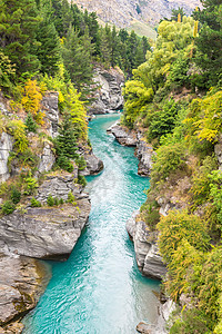 新西兰皇后镇 Questown景观地标旅游城市游客旅行假期风景森林日落图片