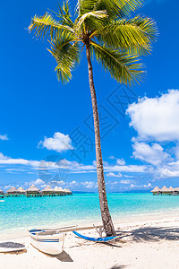 波拉博拉岛 法属波利尼西亚海岸平房海洋异国天空假期岛屿旅行棕榈蓝色图片