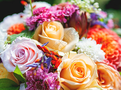 婚礼花束 新娘的传统象征附属品 花朵和玫瑰的配方 鲜花图片