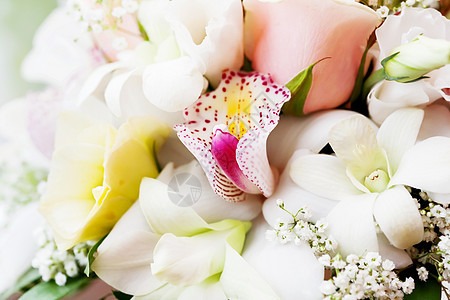 用玫瑰 吉普西拉花朵和兰花做结婚花束 特写 有选择地聚焦图片