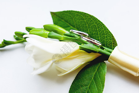 Boutonniere带着一对金婚戒指 躺在平滑的白色表面 婚礼上的传统新郎帮凶植物群扣眼婚姻庆典配饰反射花瓣珠宝胸花植物图片