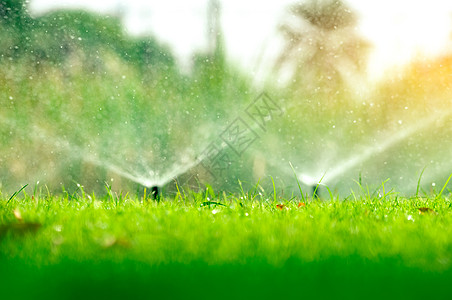 自动灭草喷洒器 浇灌绿草服务灌溉花园环境回扣土地绿化洒水器草皮生长图片