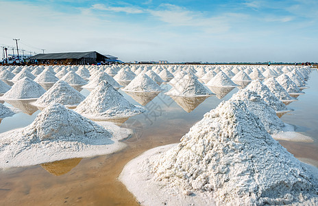 泰国的海盐农场和谷仓 有机海盐 原料天空土地生产海洋海鲜蓝色氯化钠加工仓库结晶图片