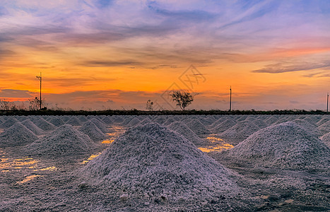 清晨盐田与日出天空 有机海盐 伊娃场地矿物盐水科学精盐农场海滩生产橙子海鲜图片