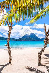 波拉博拉岛 法属波利尼西亚假期棕榈情调热带奢华天空岛屿蓝色平房酒店图片