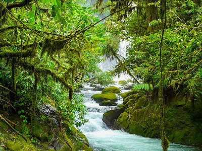 拉巴斯瀑瀑布花园自然公园森林国家植物热带远足公园环境溪流旅行山脉图片