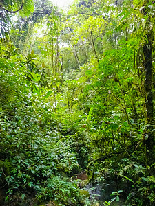 拉巴斯瀑瀑布花园自然公园远足瀑布荒野热带树木国家公园山脉花园旅行图片