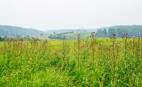 夏季地貌和山丘图片